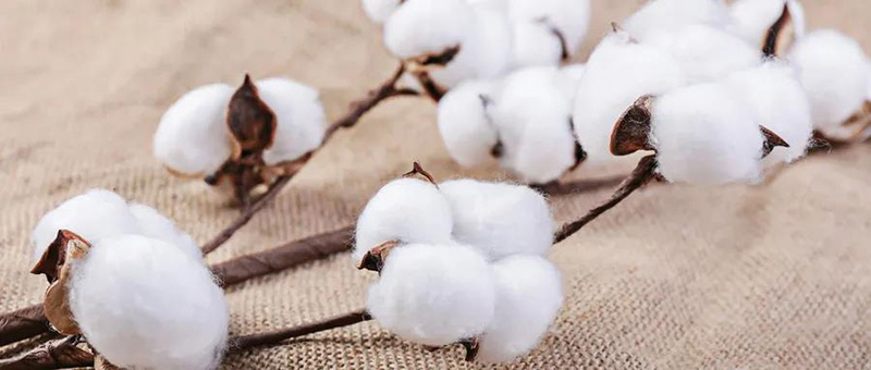 廣電計量紡織品檢測服務，與您共同致力國貨質量提升。