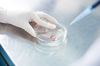 營養成份檢測及常規理化檢測